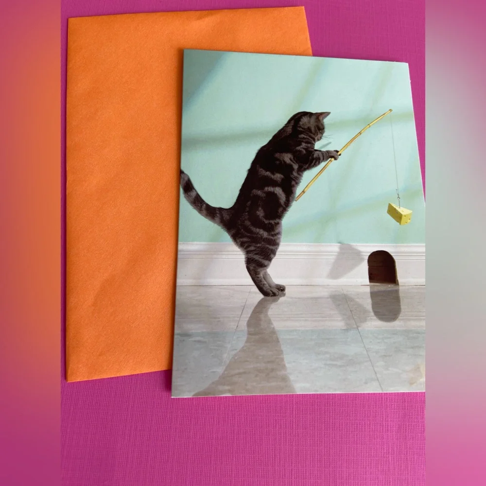 NWT! Lot of 3 greeting cards. Assorted designs. New in packaging.
